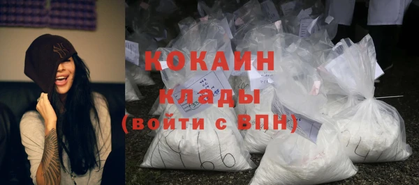прущие грибы Арсеньев