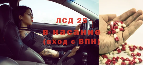 спайс Аркадак
