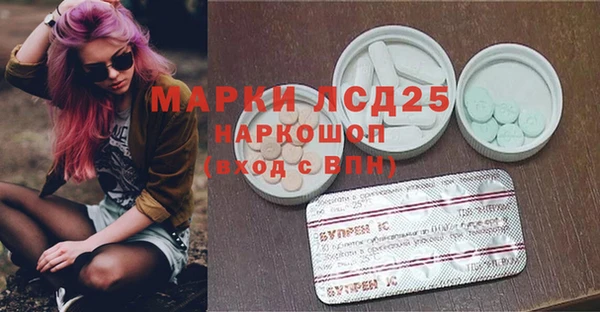 прущие грибы Арсеньев