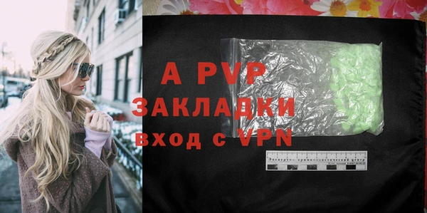 прущие грибы Арсеньев