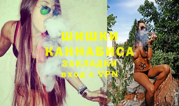 прущие грибы Арсеньев
