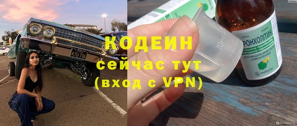 дмт Нягань