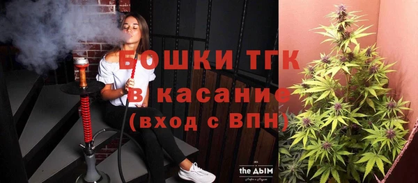 прущие грибы Арсеньев