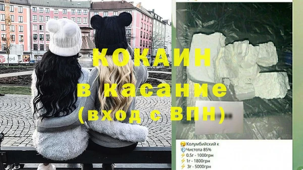 прущие грибы Арсеньев
