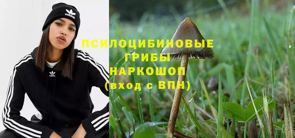 спайс Аркадак